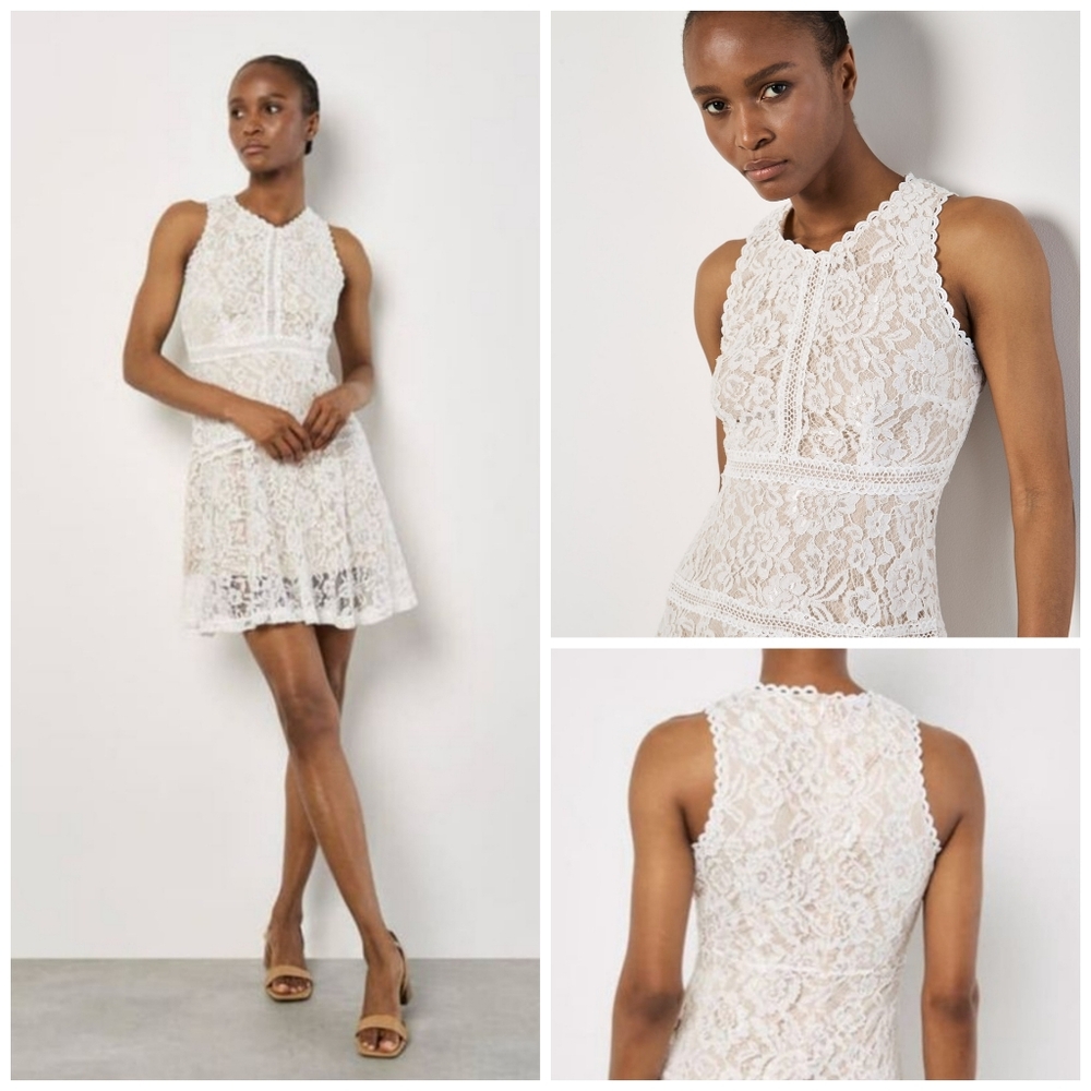 APRICOT Cream Lace Dress Size 10 Large Lined Fit & Flare Skater NEW - Picture 6 of 16